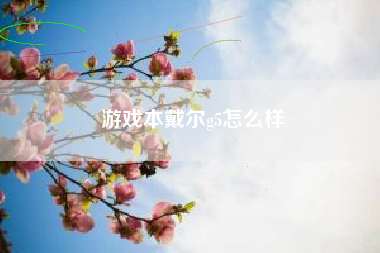 游戏本戴尔g5怎么样