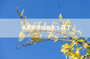 小君游戏结局怎么样了