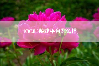 07073h5游戏平台怎么样