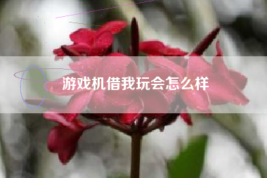 游戏机借我玩会怎么样