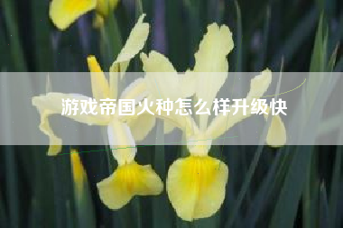 游戏帝国火种怎么样升级快