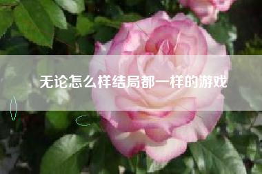 无论怎么样结局都一样的游戏