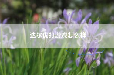 达尔优打游戏怎么样