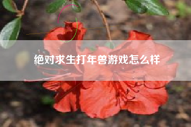 绝对求生打年兽游戏怎么样