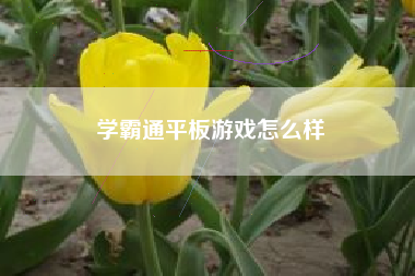 学霸通平板游戏怎么样