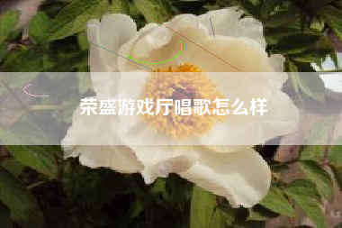 荣盛游戏厅唱歌怎么样