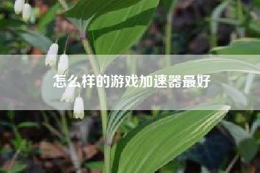 怎么样的游戏加速器最好
