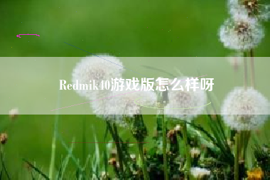 Redmik40游戏版怎么样呀