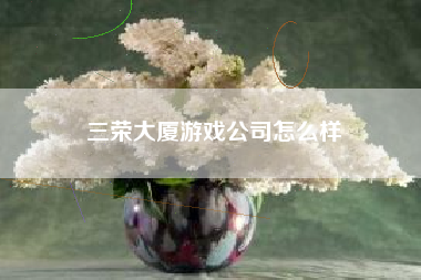 三荣大厦游戏公司怎么样