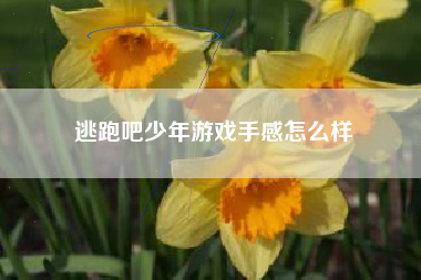 逃跑吧少年游戏手感怎么样