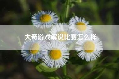 大奇游戏解说比赛怎么样
