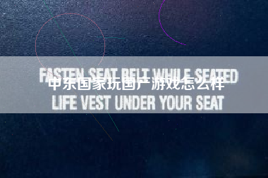 中东国家玩国产游戏怎么样