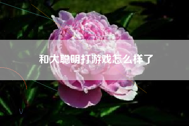 和大聪明打游戏怎么样了