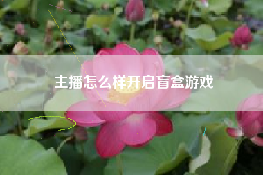 主播怎么样开启盲盒游戏