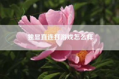 独显直连打游戏怎么样