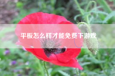 平板怎么样才能免费下游戏
