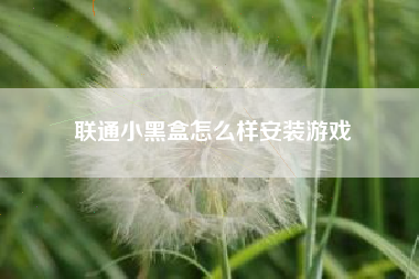 联通小黑盒怎么样安装游戏