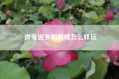 夜兔返乡的游戏怎么样玩