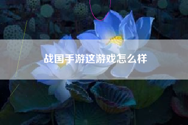 战国手游这游戏怎么样