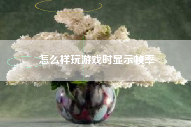 怎么样玩游戏时显示帧率