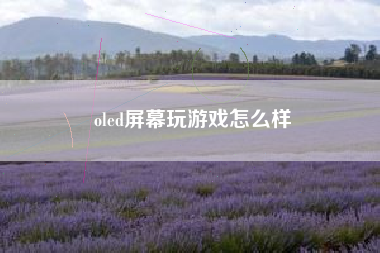 oled屏幕玩游戏怎么样