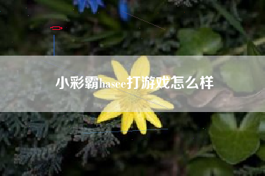小彩霸hasee打游戏怎么样