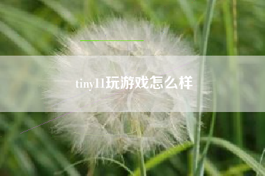 tiny11玩游戏怎么样