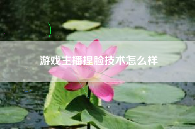 游戏主播捏脸技术怎么样