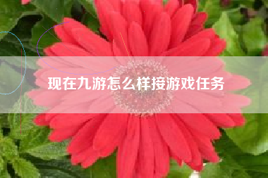 现在九游怎么样接游戏任务