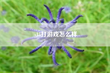 s15打游戏怎么样