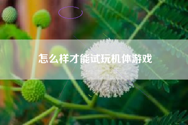 怎么样才能试玩机体游戏