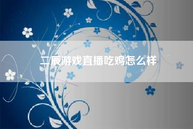 二辰游戏直播吃鸡怎么样