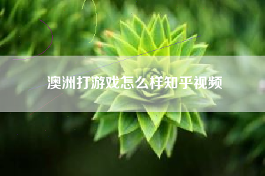 澳洲打游戏怎么样知乎视频