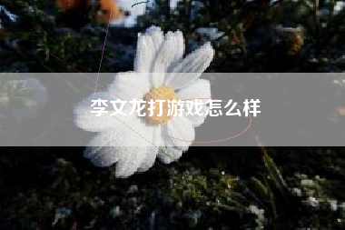 李文龙打游戏怎么样