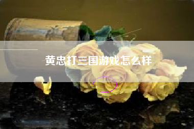 黄忠打三国游戏怎么样