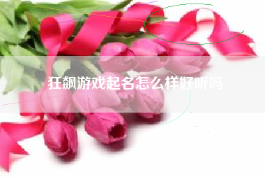 狂飙游戏起名怎么样好听吗