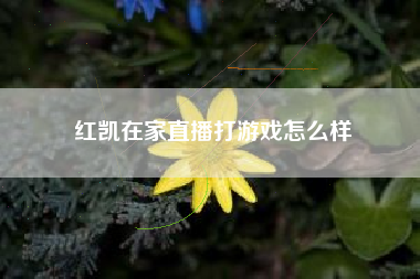 红凯在家直播打游戏怎么样