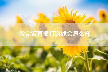 做完饭直播打游戏会怎么样