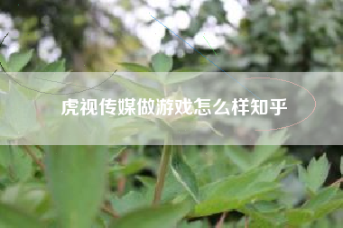 虎视传媒做游戏怎么样知乎