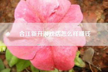 合江新开游戏店怎么样赚钱