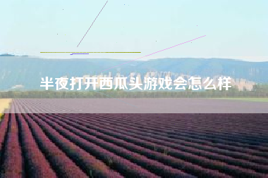 半夜打开西瓜头游戏会怎么样