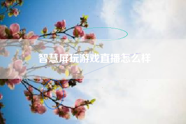 智慧屏玩游戏直播怎么样