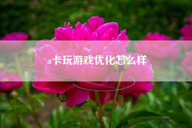 a卡玩游戏优化怎么样