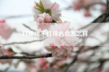打游戏不打排名会怎么样