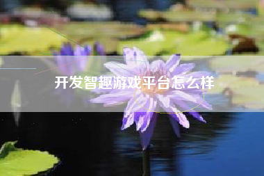 开发智趣游戏平台怎么样
