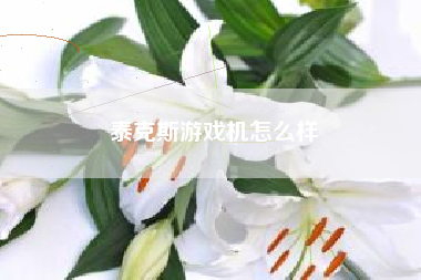泰克斯游戏机怎么样