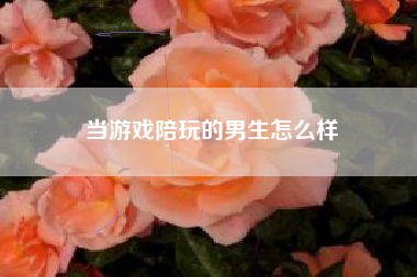 当游戏陪玩的男生怎么样