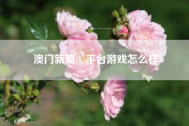 澳门新葡亰平台游戏怎么样