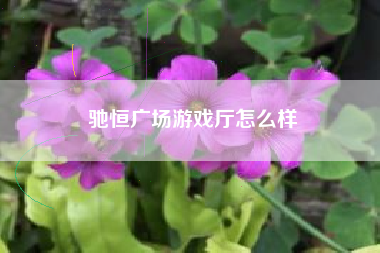 驰恒广场游戏厅怎么样