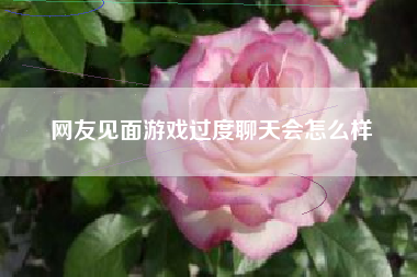 网友见面游戏过度聊天会怎么样